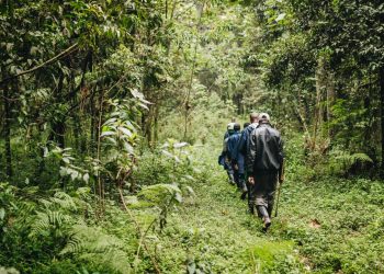 Natural Language Processing: Speeding Up Policy Analysis for Land Restoration